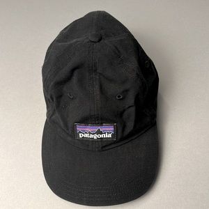 Patagonia dad hat